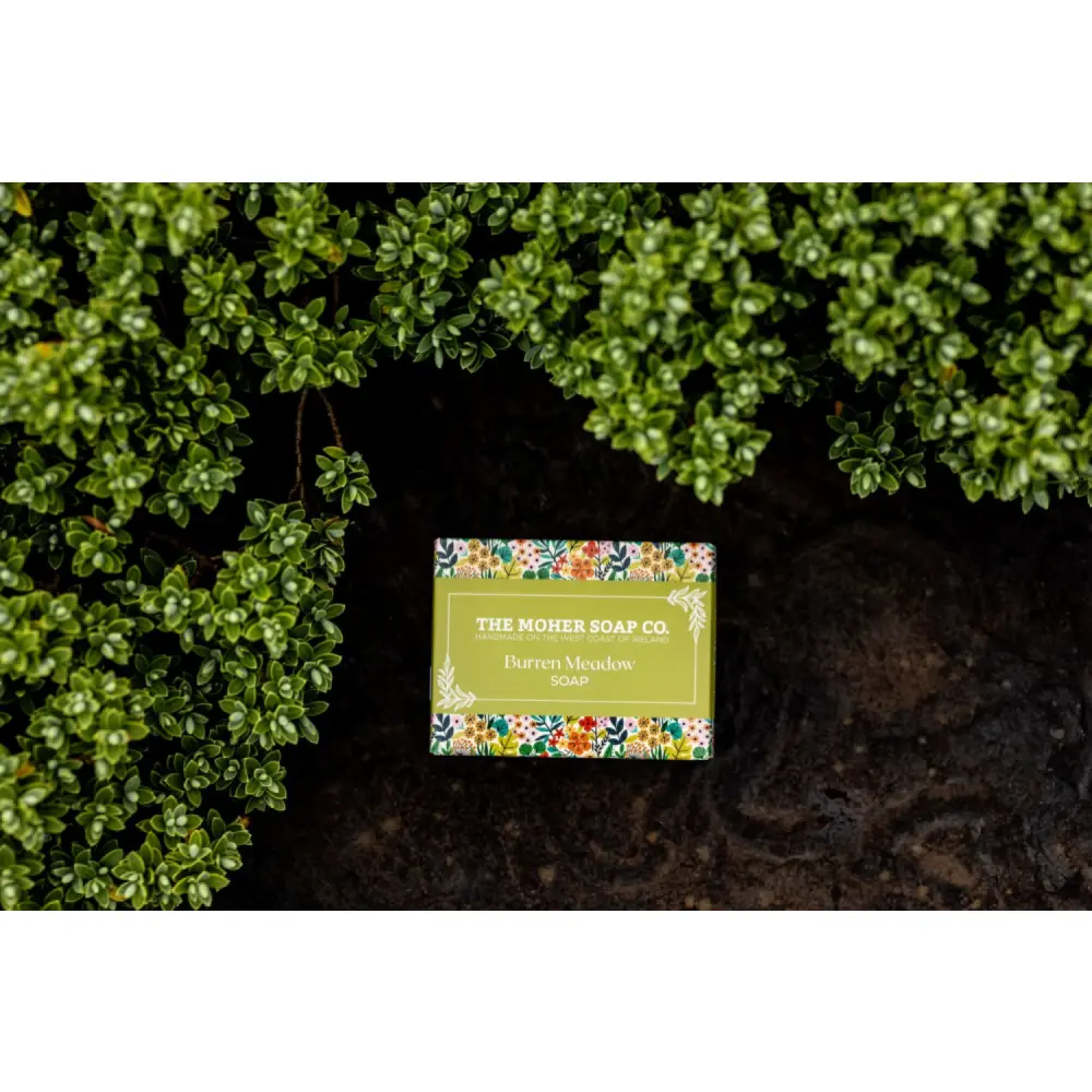 Moher+Soap_Burren+Meadow_WEB