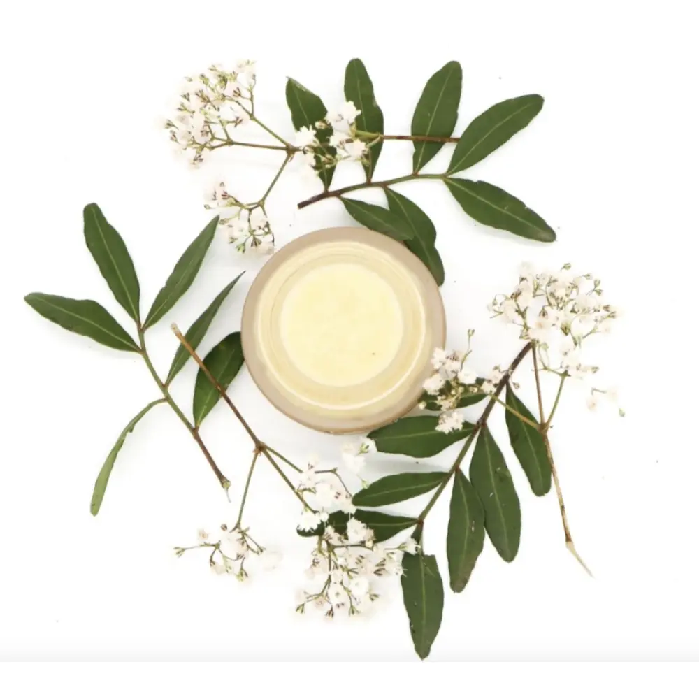 Screenshot 2024-02-20 at 12.44.19