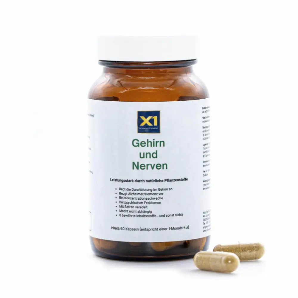 Gehirn_Nerven_Etkett_Mitte_weisser_HG_OHNE_Button_IMG_5060_1024x1024@2x