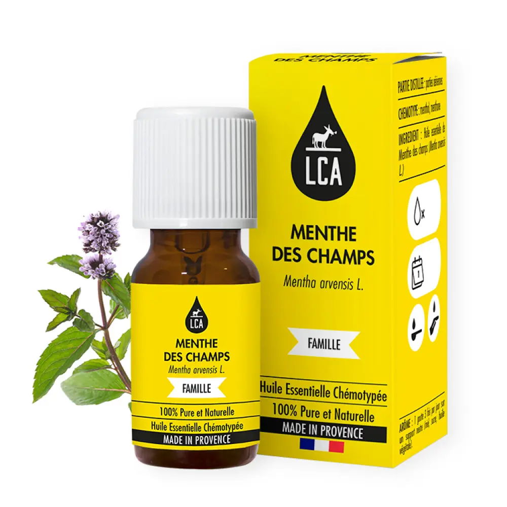 HE_MENTHE_DES_CHAMPS_FLACON_BOX_PLANTES