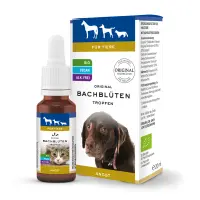 Pets_DropsBox_DE_Fear_fa36f29d-9ca8-4be6-8572-2e1306c8bd88