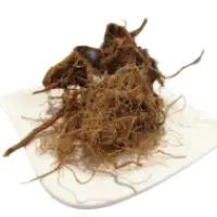 Screenshot 2023-12-07 at 09.51 Background Removed.14