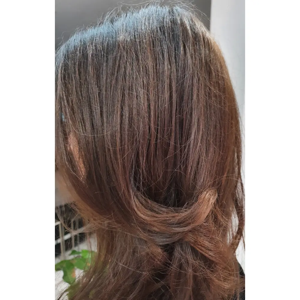 Noisette_cuivree_resultat