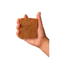 DSC09732-removebg-preview