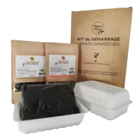 test2-kit-graines-germees-petits-bacs-blancs