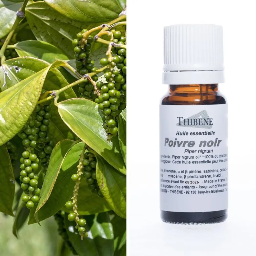 poivre-noir