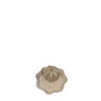 1746524957296-removebg-preview