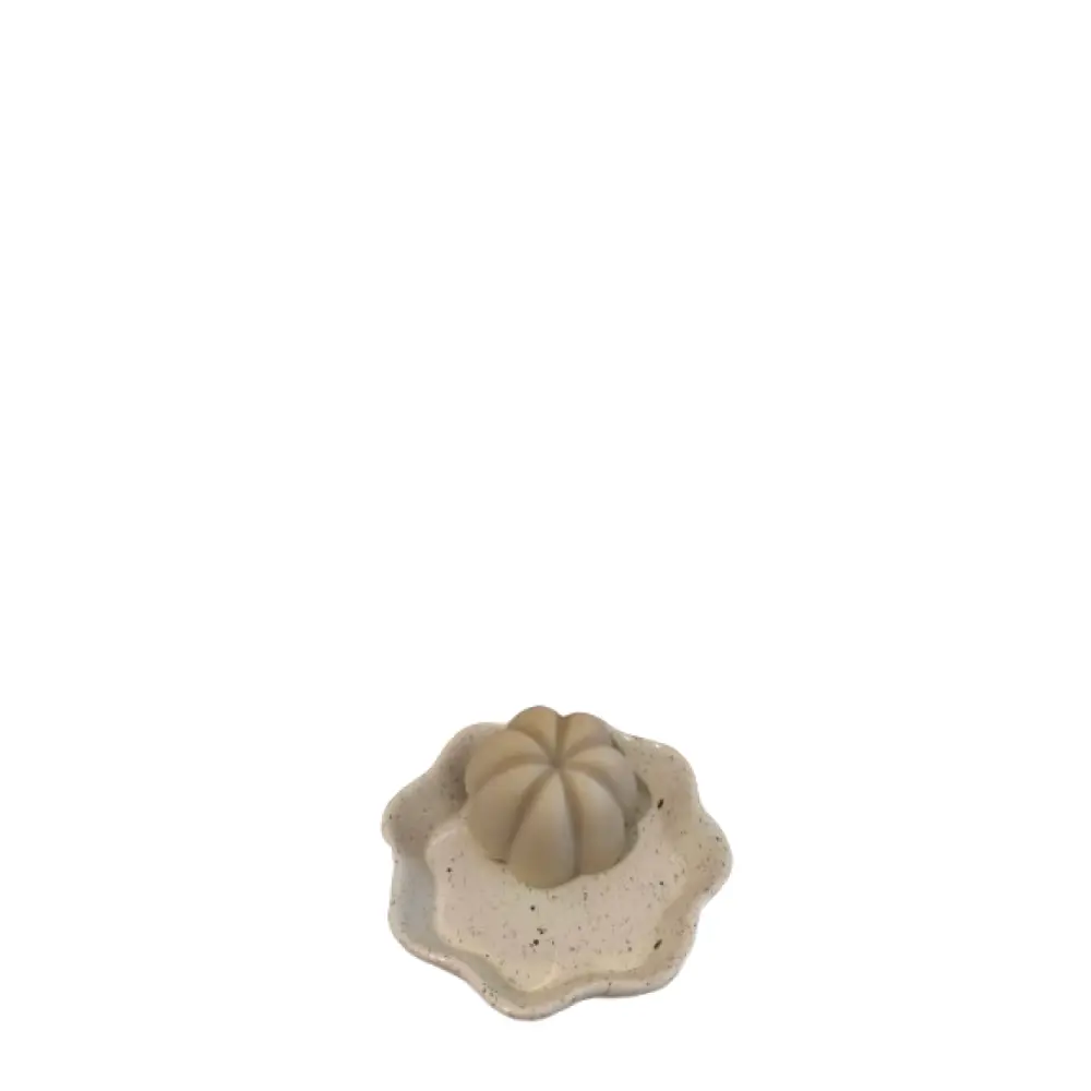 1746524957296-removebg-preview