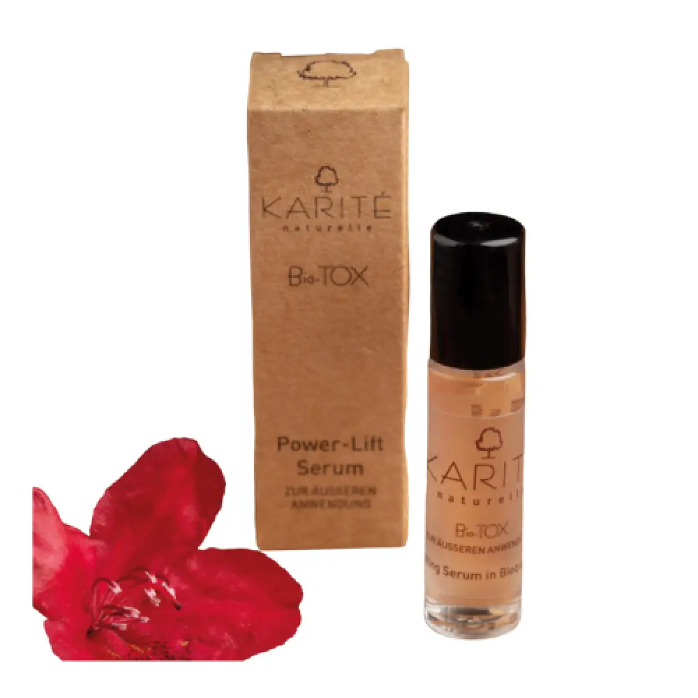 Design sans titre - 2024-02-15T095039.603