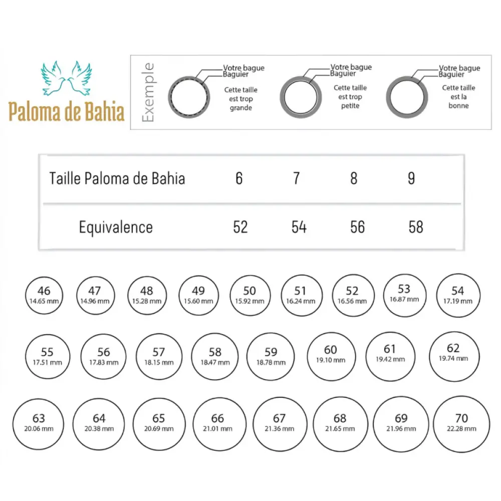 Baguier-fiche-e1666874223113-768x646-1