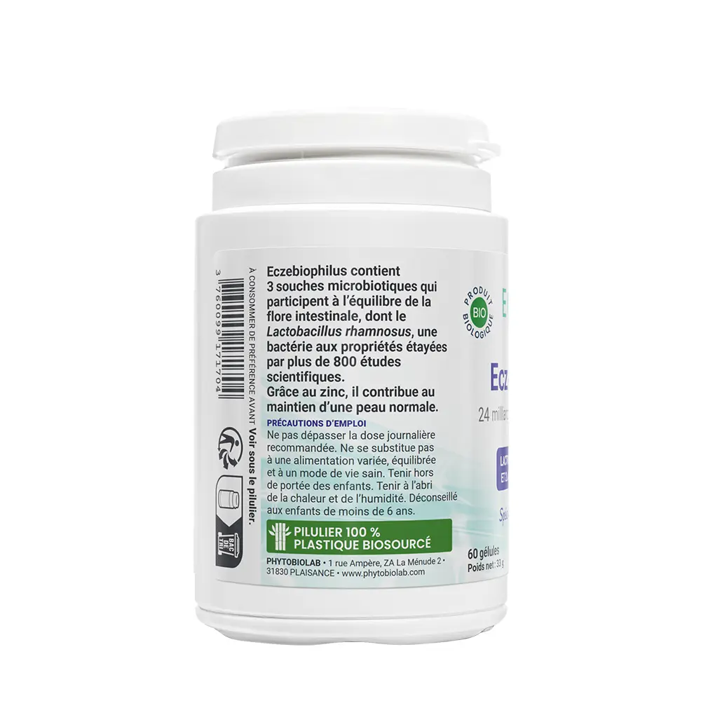 Eczebio_Eczebiophilus_ vue 2