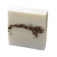 IMG_3914-scaled Background Removed