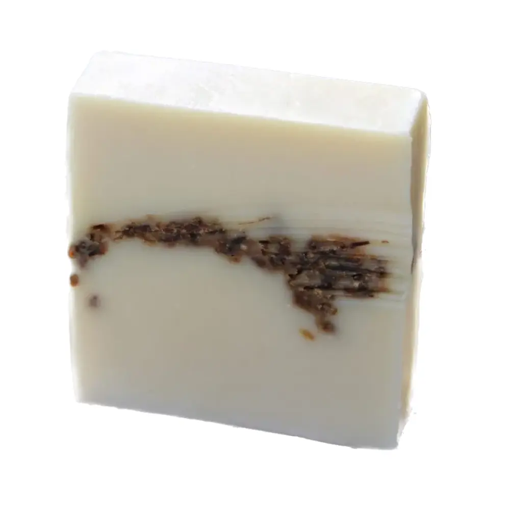 IMG_3914-scaled Background Removed