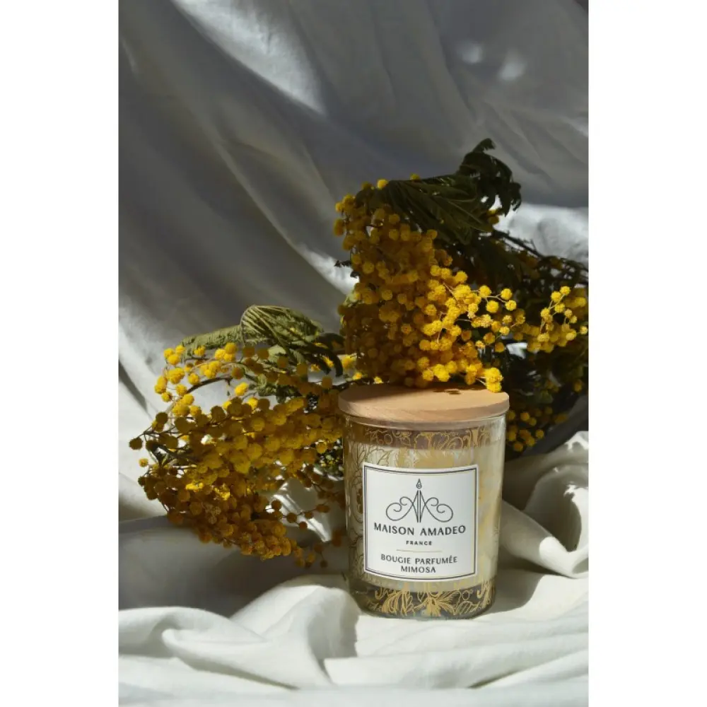 bougie-parfumee-mimosa-