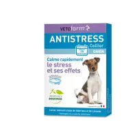 VETO_3D Pack collier antistress chien 2023