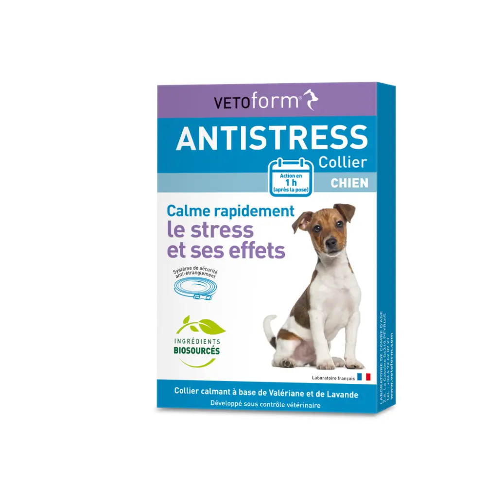 VETO_3D Pack collier antistress chien 2023