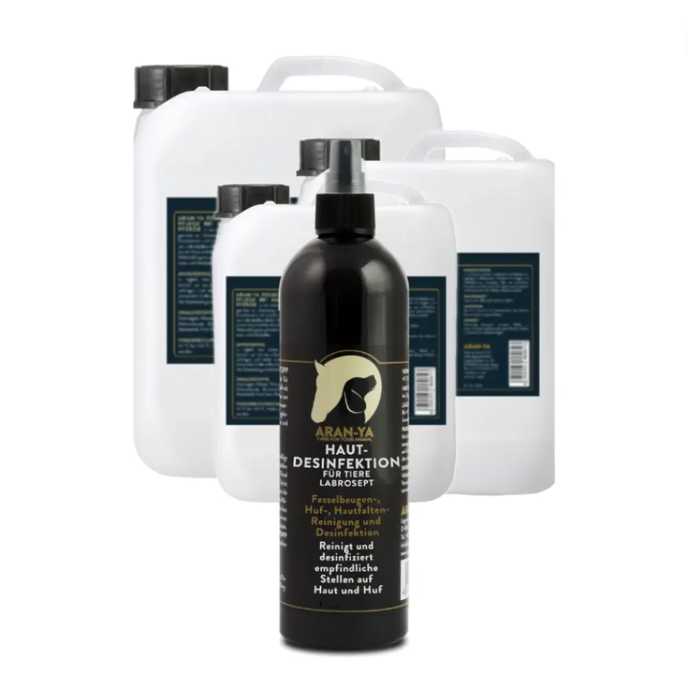 Screenshot 2023-12-05 at 10.15.25