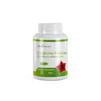 VitaSanum® - Caralluma Fimbriata (Caralluma adscendens) 500 mg 100 gélules VitaSanum® - Caralluma Fimbriata (Caralluma adscendens) 500 mg 100 gélules