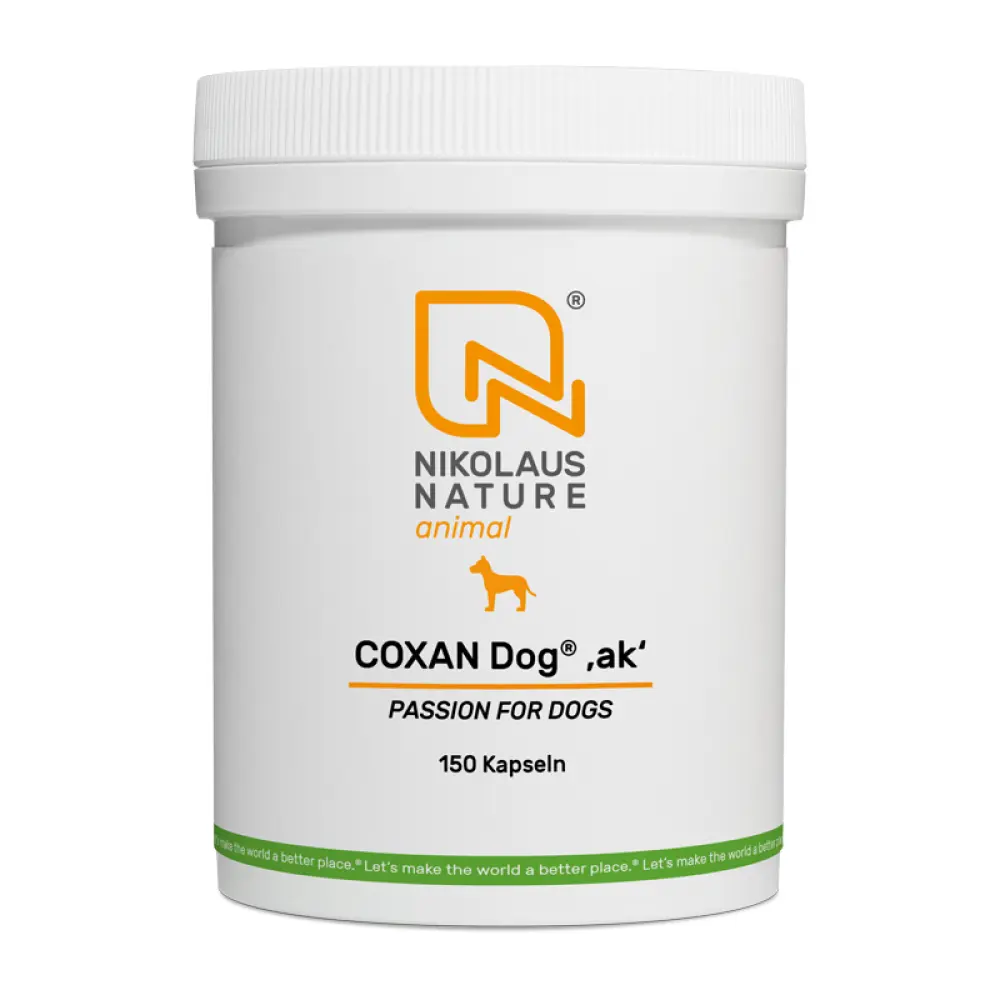 NN_animal_coxan-dog-ak_150k-1678199866-bild-2000