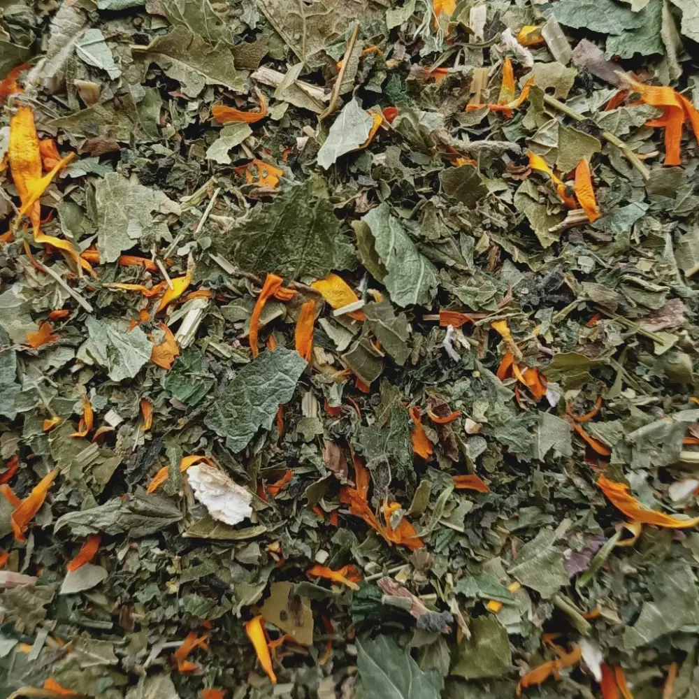 Tout en souplesse plantes