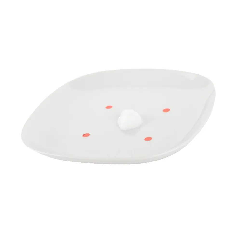 DSC_6408-3760153130043