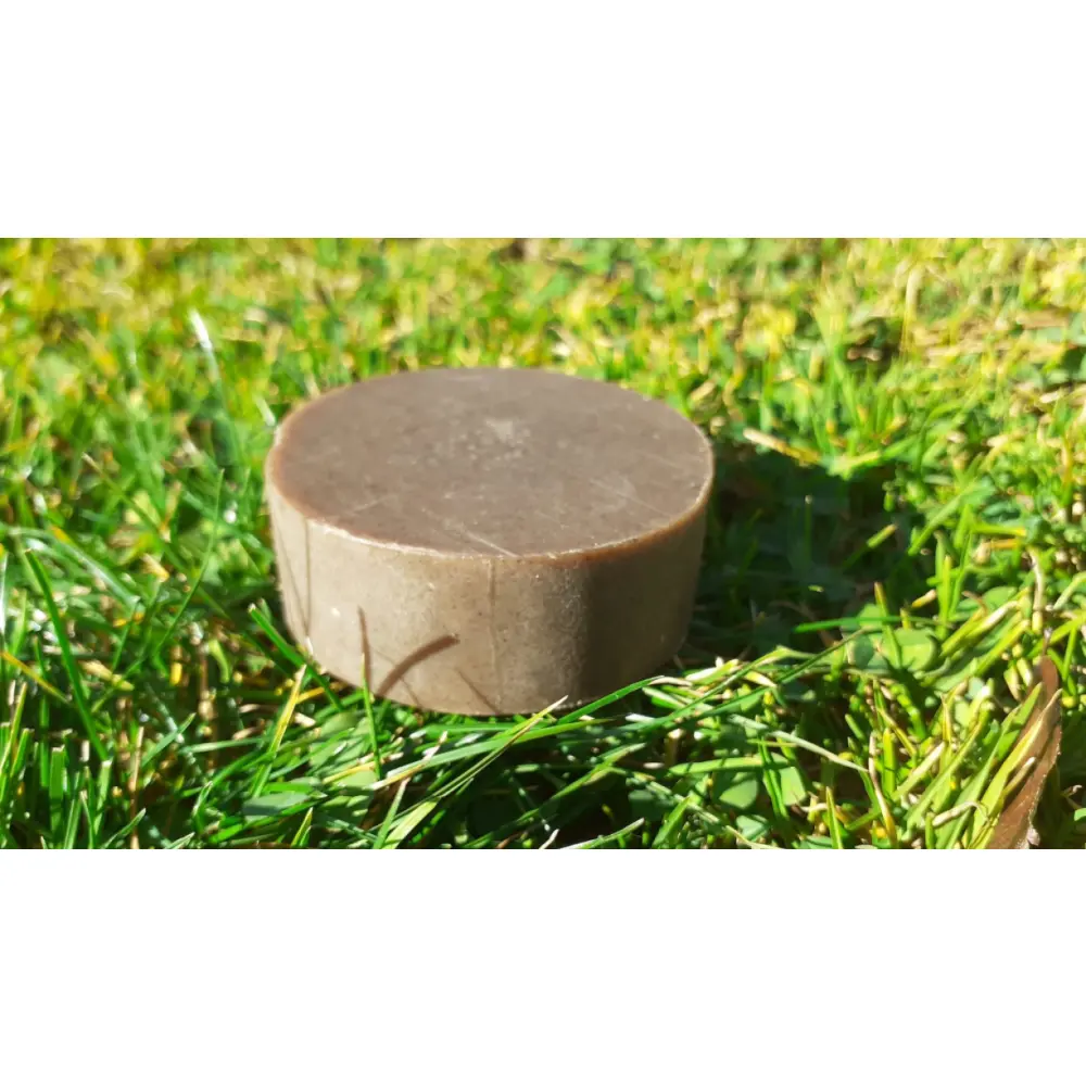 20191026_143248-scaled