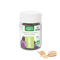 nutriveggies-artichaut