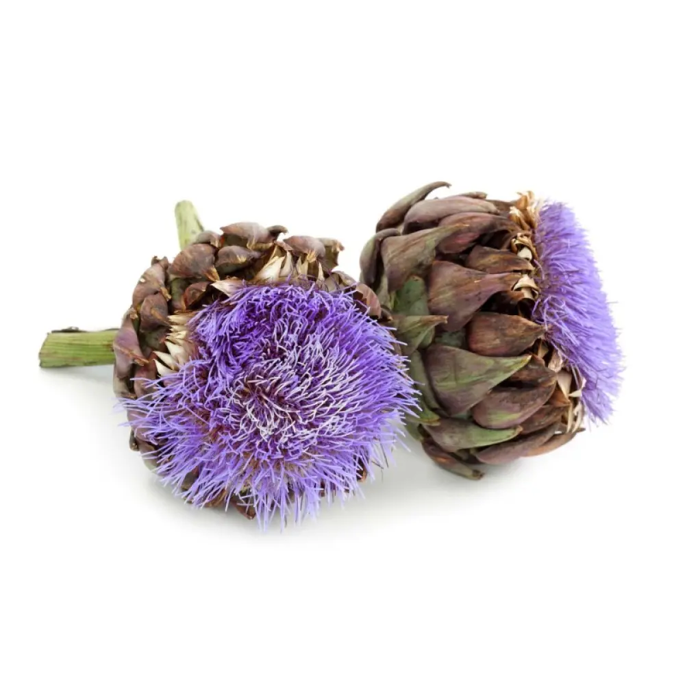 artichaut-bio-40-gelules