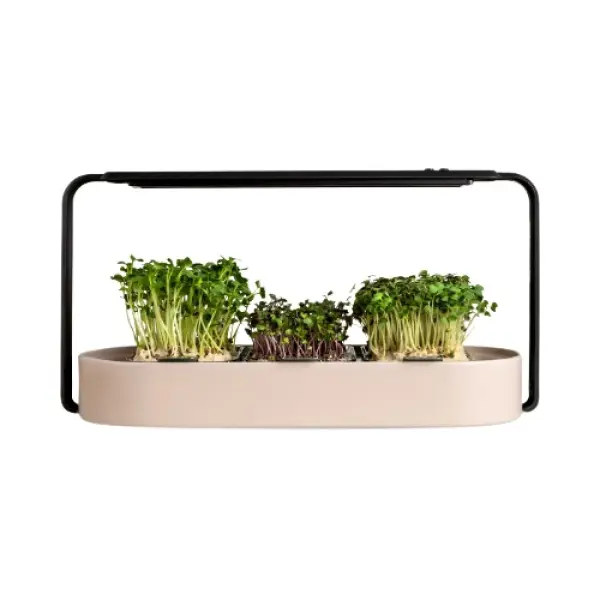 Achat à l'Unité - Kit de Démarrage - Couleur Beige Crème