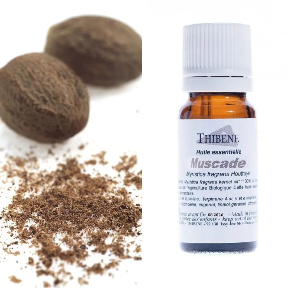 muscade