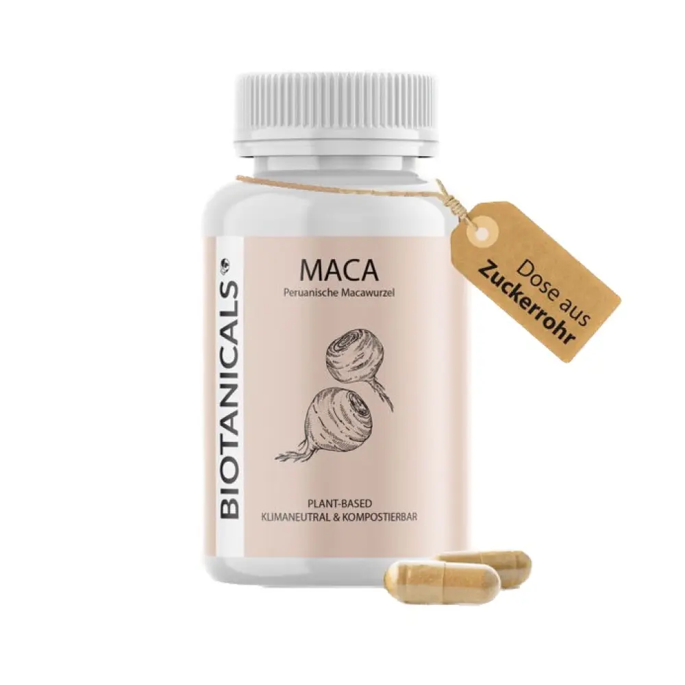 download - 2023-10-19T124331 Background Removed.025