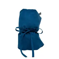 55x25 - Blau ohne Hintergrund