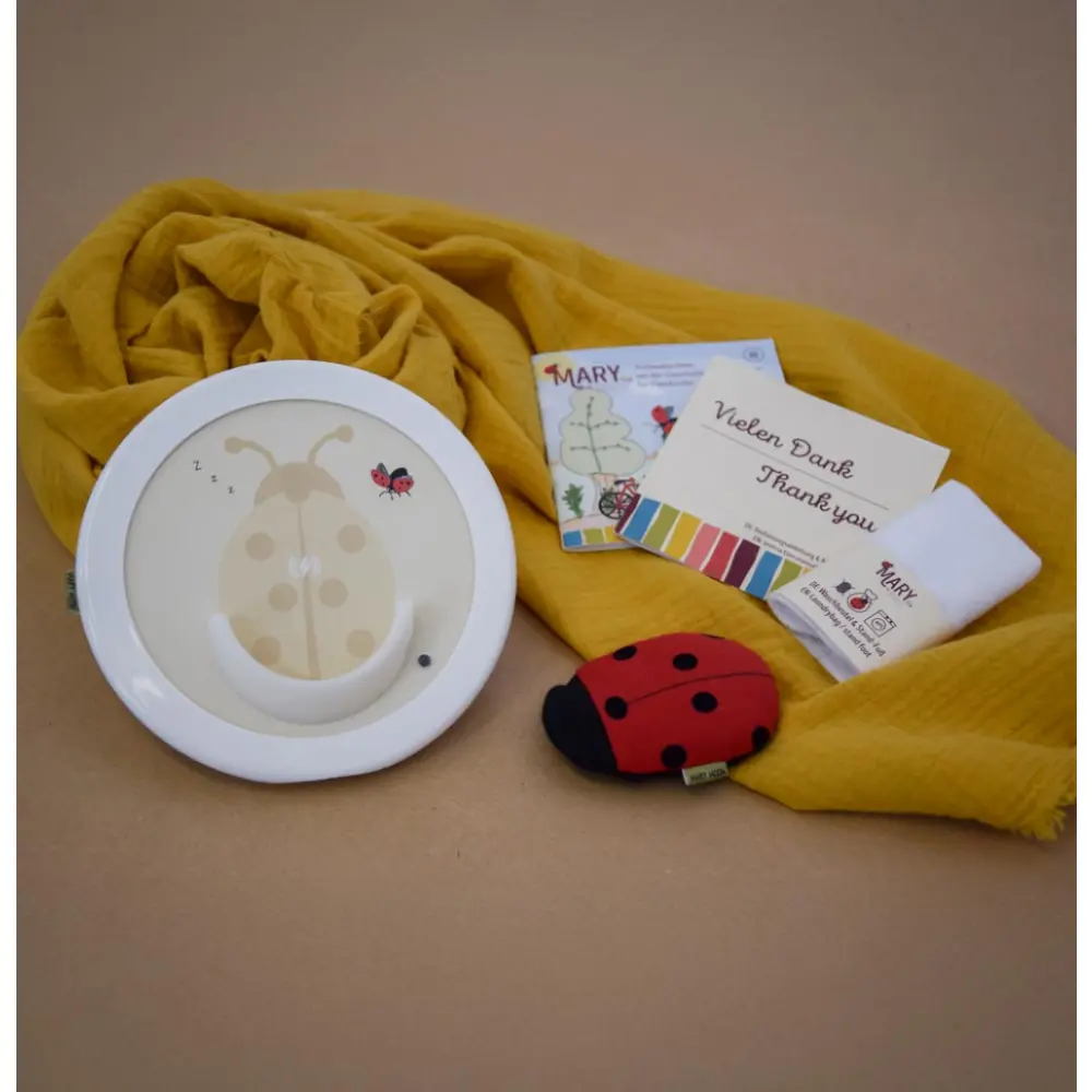 Mary-by-sticklett-inhalt-paket-buch-ladestation-vorsorge