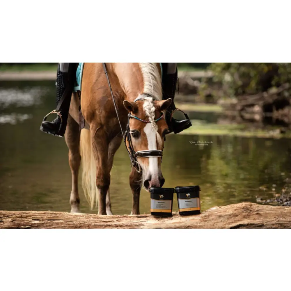 Design-ohne-Titel-31