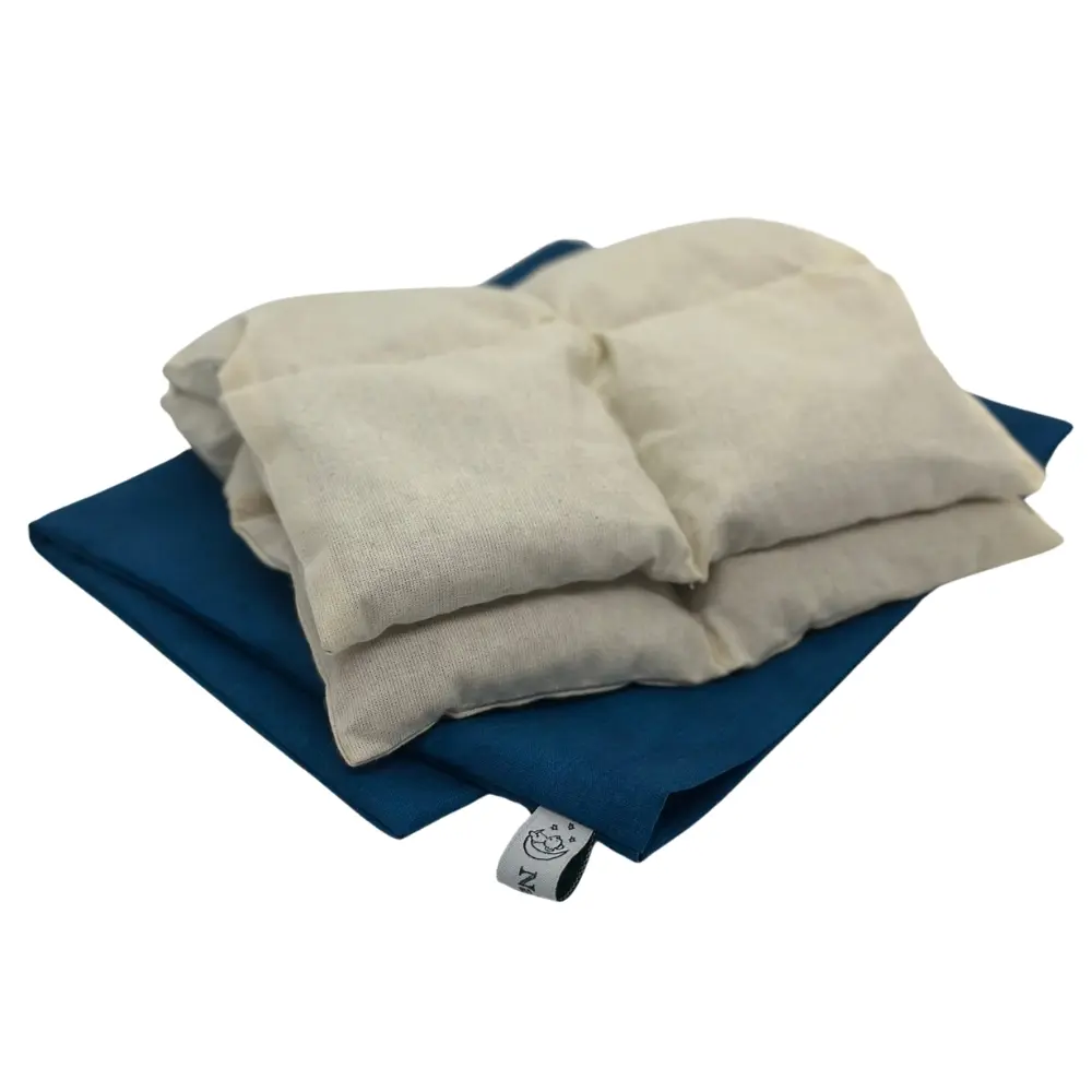 35x20 V2 - Blau ohne Hintergrund