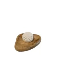 1746525019780-removebg-preview