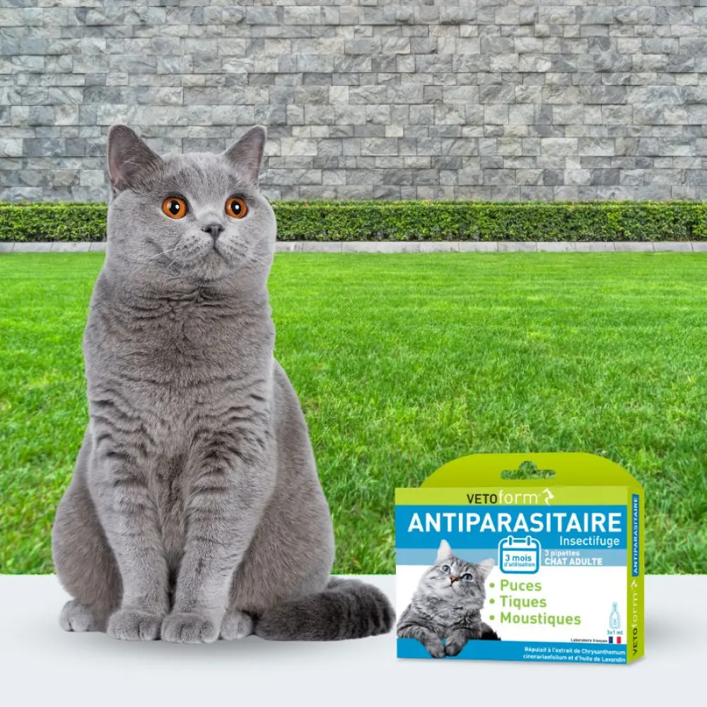 Vetoform_pipettes_insectifuge_chat__3x1ml__5_4e639d76-8acc-4f97-8b35-331fb2fa8e24