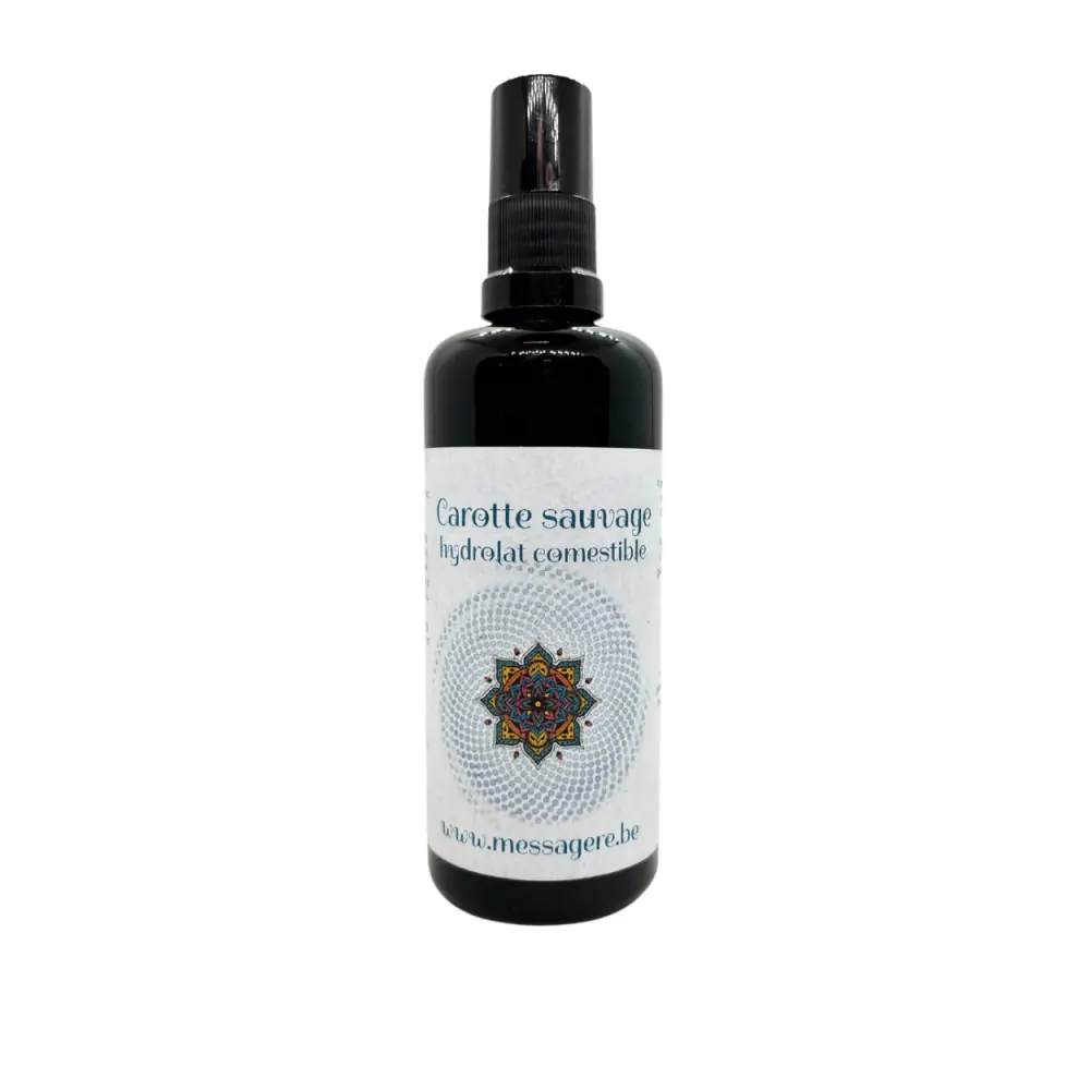 Carotte sauvage