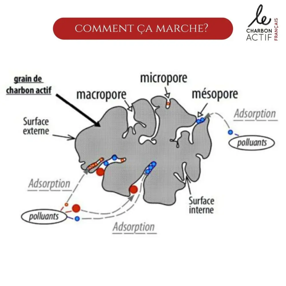 coupecharbonactif