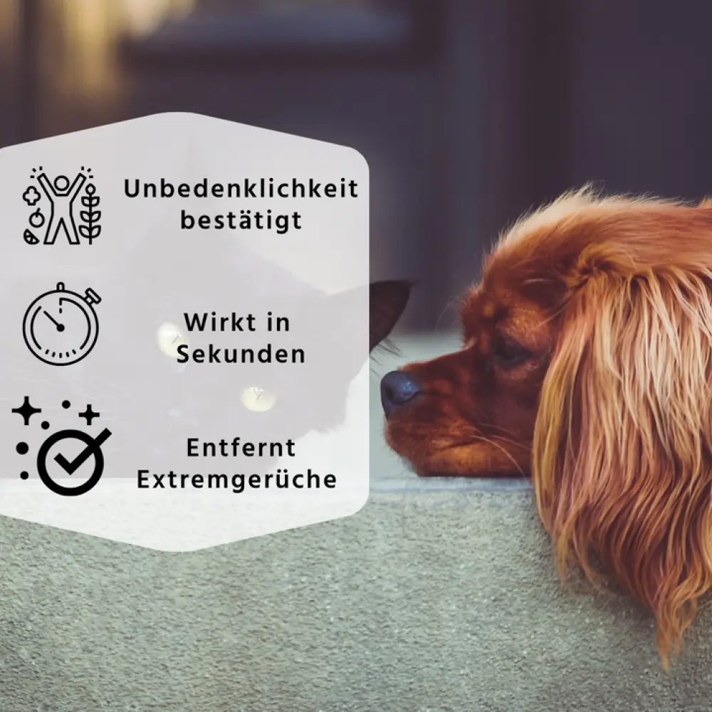 2bactodesanimal_720x