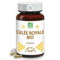 Capture d’écran 2023-03-17 à 10.51.59