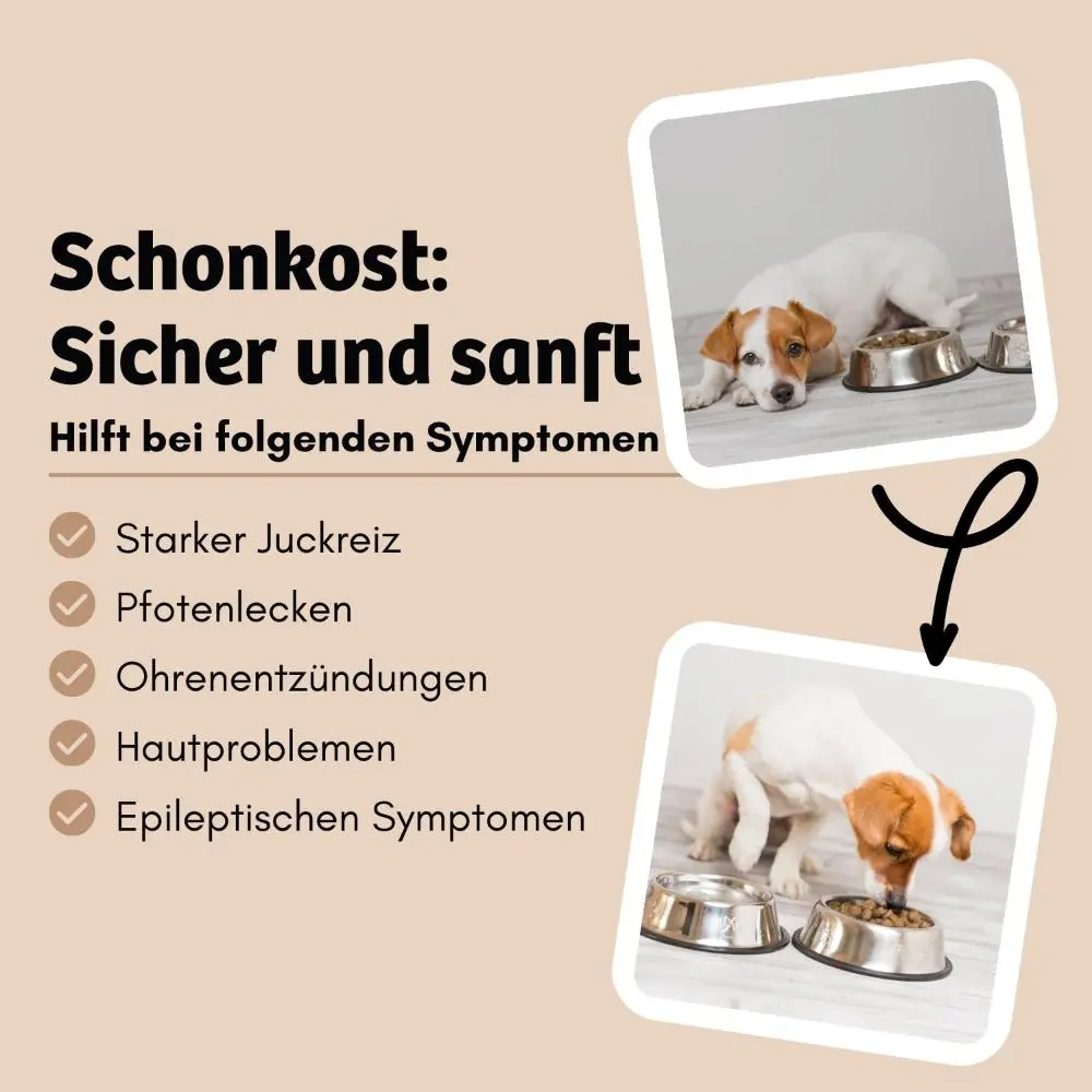 Vorteile_HighSensitive_1000x