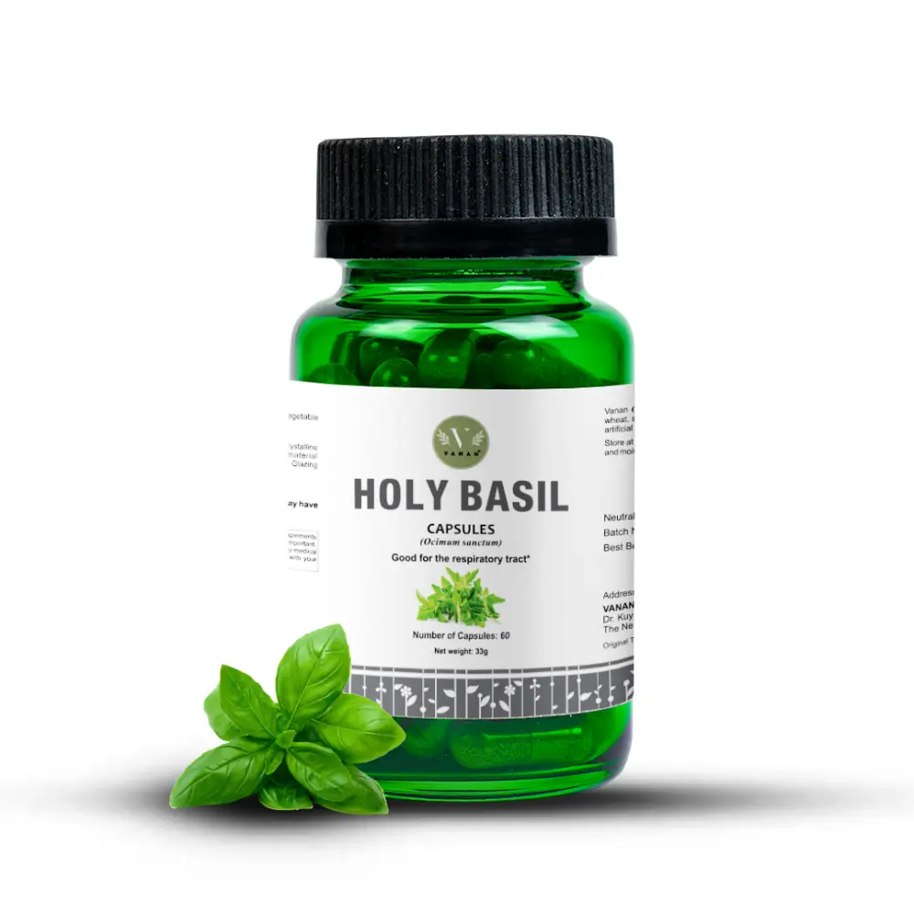Holy_Basil_PNG