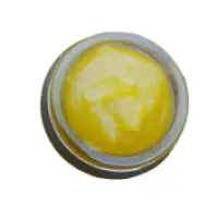 PhotoRoom-20230912_185204_resized_20230925_090258002