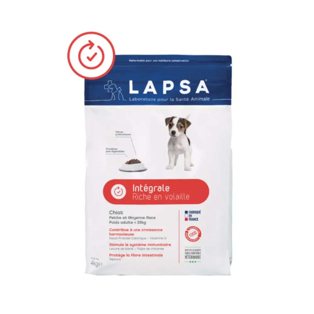 chiot_petite_moyenne_race_int_grale_1