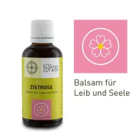 ZistroseMandala_webshop_m