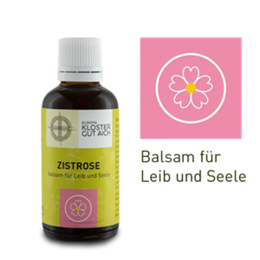 ZistroseMandala_webshop_m