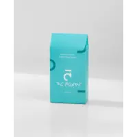 The_Aiconist_Spring_257505 copy 2