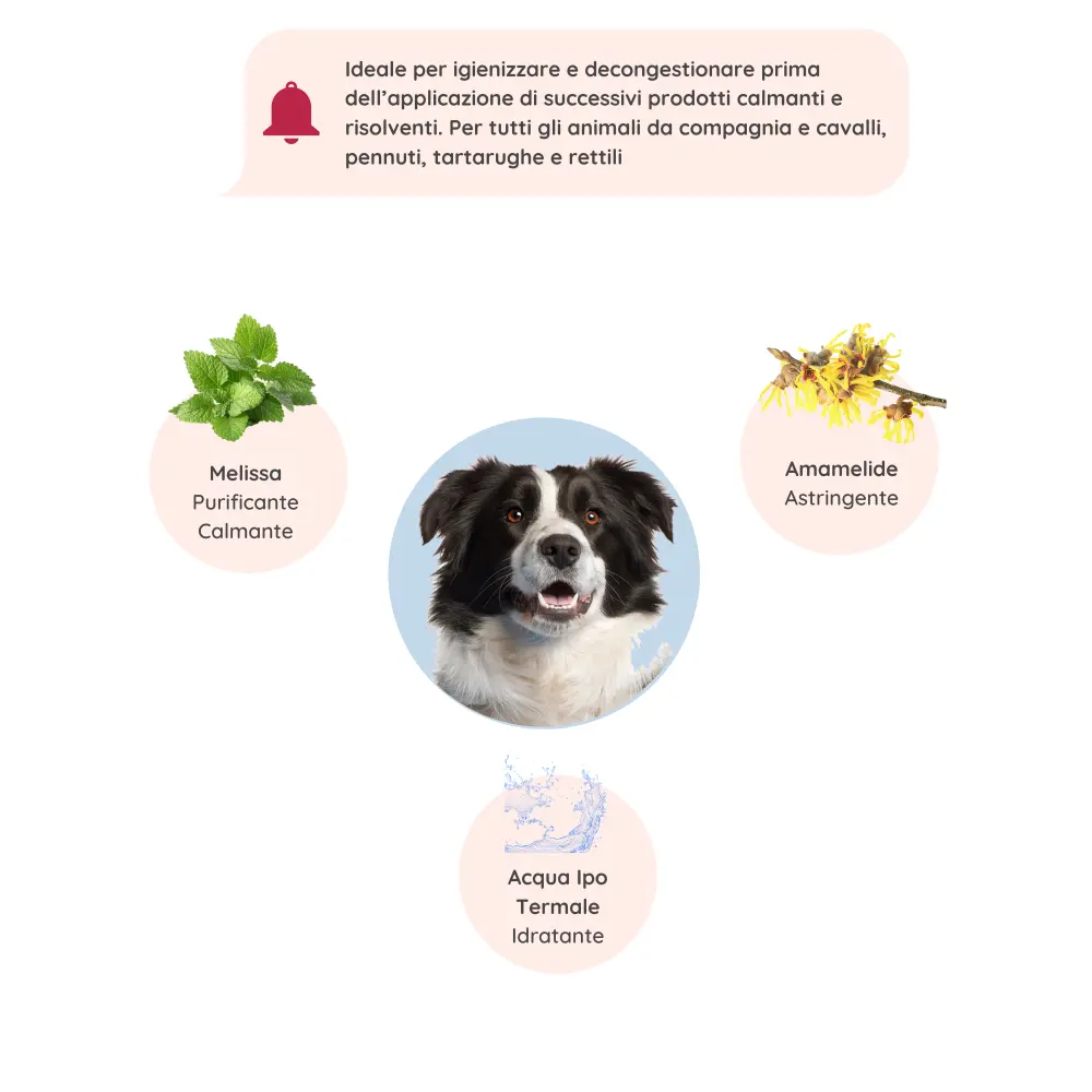 Cliccaquieparlaconunesperto_39