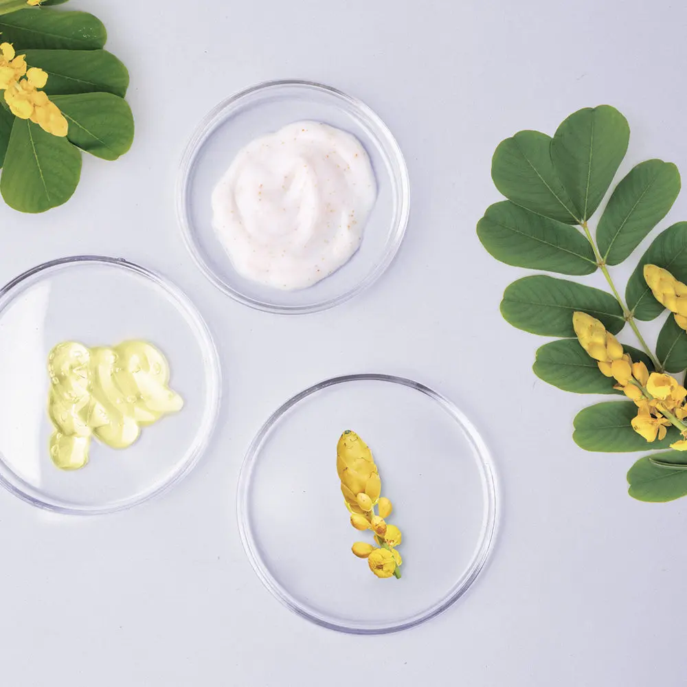 mise-en-scene-cassia-alata